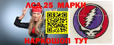 гашик Аргун
