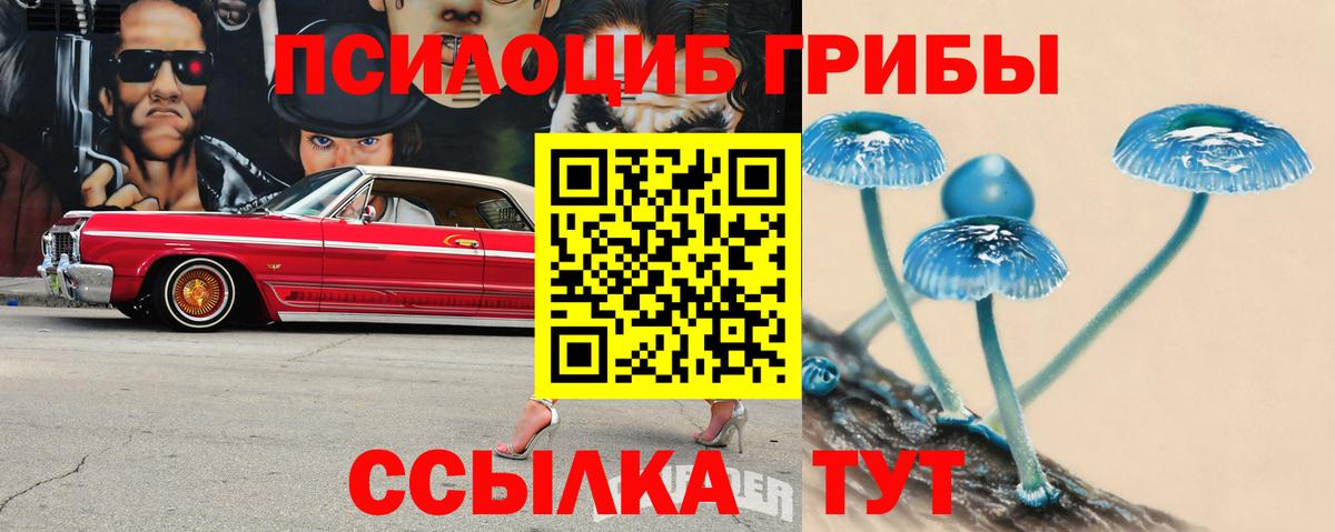 Псилоцибиновые грибы GOLDEN TEACHER Верхний Уфалей